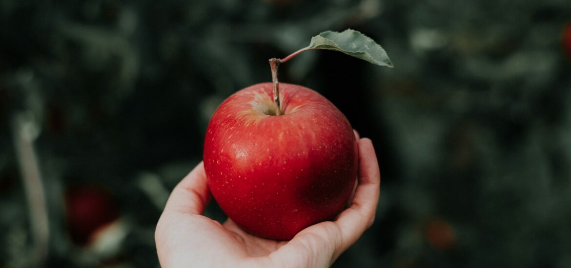 Canadian apple growers experiment with new varieties amid China's apple juice market dominance