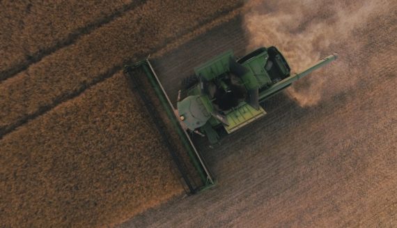 Combine harvester working in the field