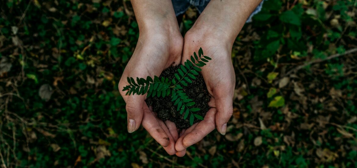 Government bailouts during COVID-19 – opportunity to rebuild a greener and fairer economy