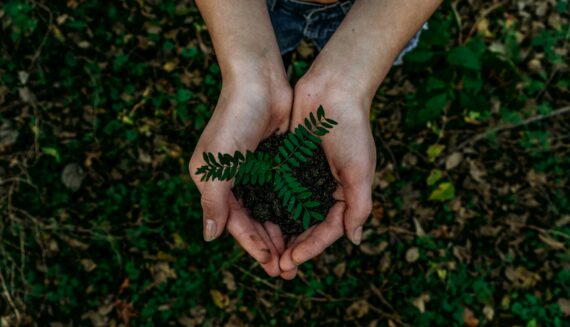 Government bailouts during COVID-19 – opportunity to rebuild a greener and fairer economy