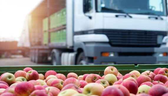 Apples in a box