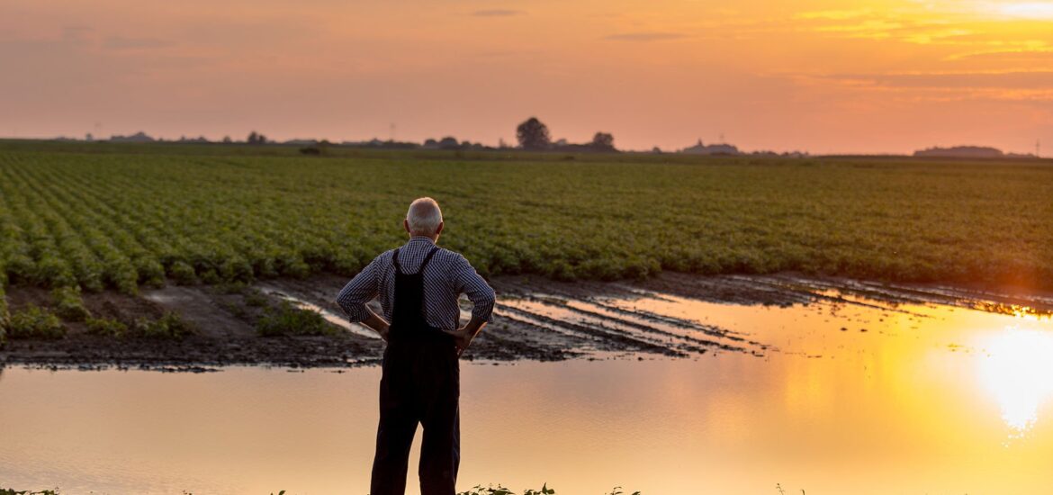 A man on the background of the field and the setting sun