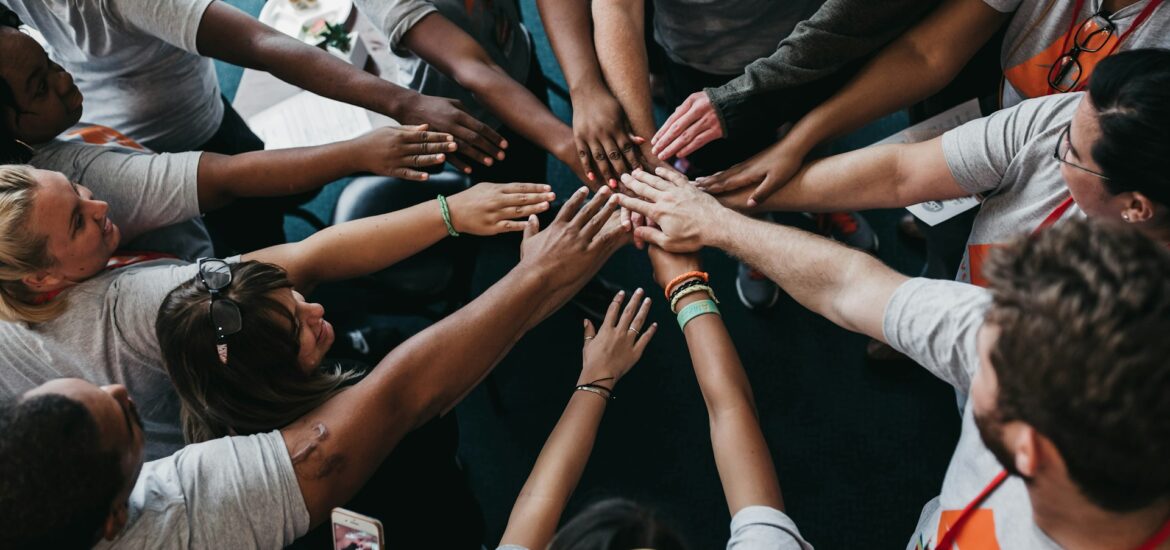Building a charity that thrives: governance and management of NFPs